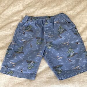 Uniqlo Boys Cotton Shorts in Blue Surfer Print. Size 5-6!
